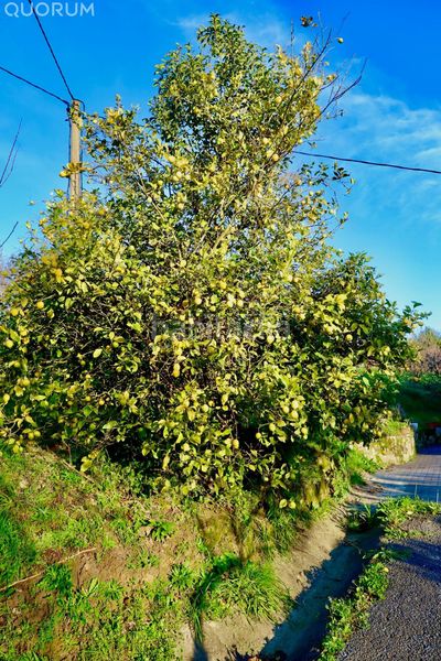 Foto ef1da790-bd35-4af6-b7cc-9d9545d45482. Masia a Berango