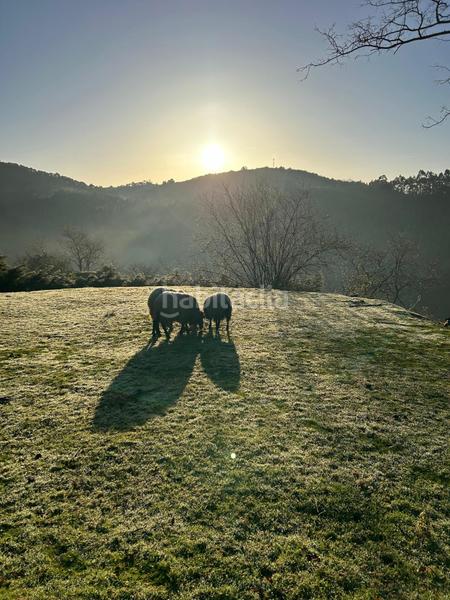 Foto 787f851c-723b-4174-849a-eb28af736278. Terrain résidentiel dans Plentzia