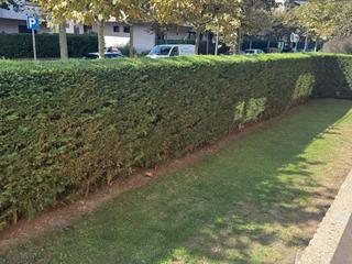 Affitto Appartamento in Neguri. Alquiler en neguri con terraza y jardín privado