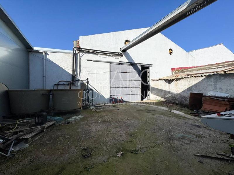 Foto 5c54591d-c823-48f8-b979-f9a8a7c4b0f6. Rent industrial building in Virgen del Rosario Torrejón de Ardoz