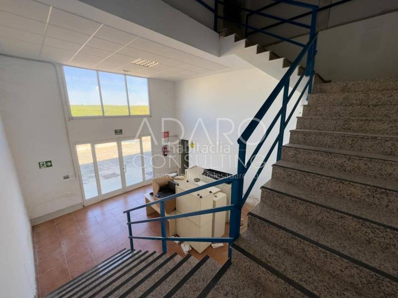 Foto 1b21aa3c-c9f2-4222-9e8a-51ed3b84c505. Rent industrial building in Torres de la Alameda