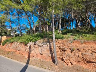Terreny residencial a Carrer jeies 8. Solar orientado al sur