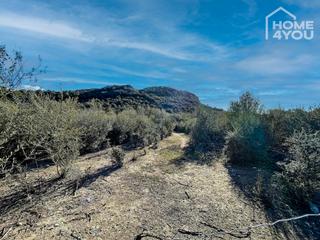 Residential Plot in Sineu. Exclusiva parcela edificable en sineu en el puig de sant nofre,