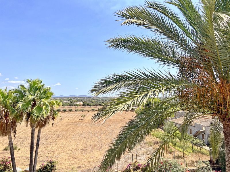 Foto be1b15f8-7ad9-4b58-8678-9b83cd00e371. Casa a ma-6100 2 a Colònia Sant Jordi Ses Salines