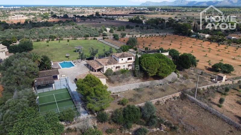 Foto 0607fe54-4c25-4f50-ae03-e152f420baf0. Casa amb calefacció aparcament piscina a Santa Margalida poble Santa Margalida