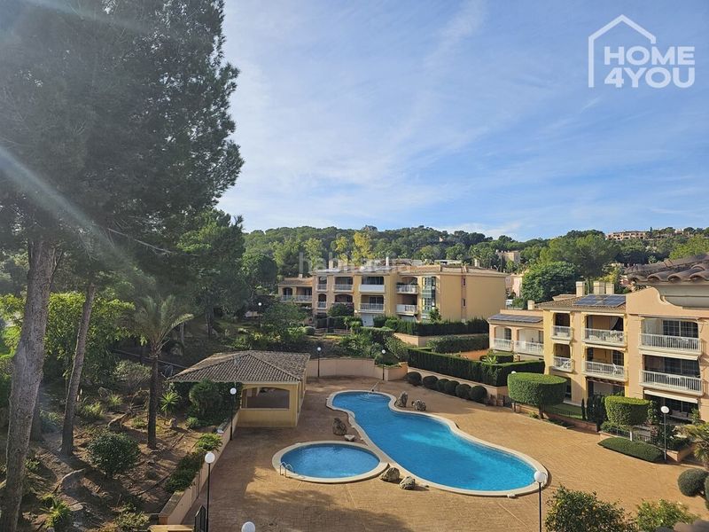 Foto 561a9a0f-d112-40d0-b4a2-71b39f2fb6a7. Casa amb calefacció aparcament piscina a El Toro Calvià