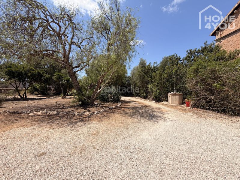 Foto 59086467-59d0-4959-9c2f-7e4d5554e34a. Planta baixa amb calefacció aparcament piscina a Ses Salines