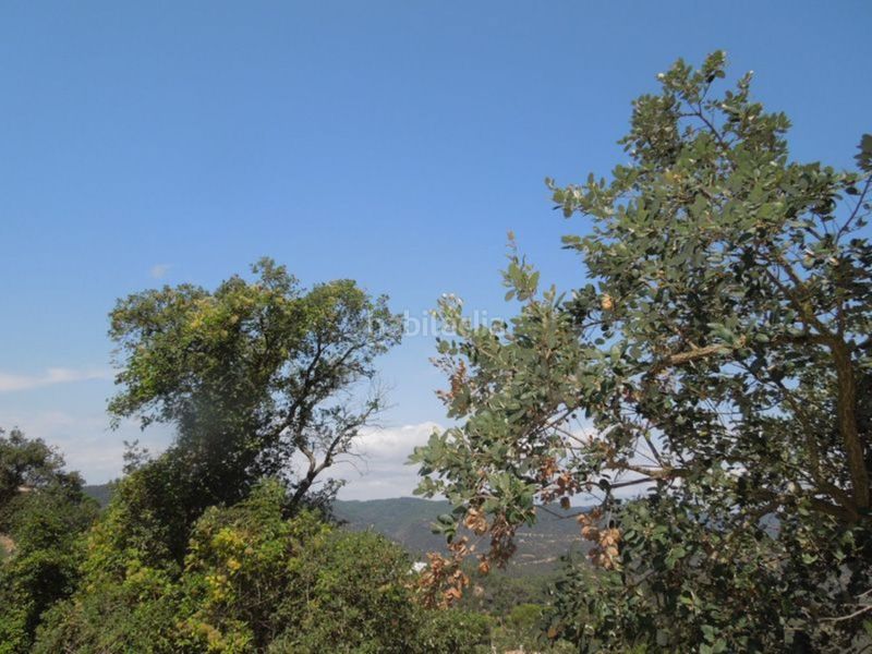 Foto 004f1d33-5684-47ae-aed3-314ec7b311fa. Terreno residencial en Serra Brava Lloret de Mar