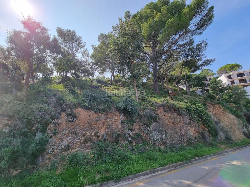 Foto 0d5fa1b8-f65d-4565-9c42-de5aa6a498f1. Terreny residencial a Tossa de Mar Tossa de Mar
