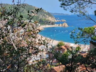 Terreny residencial a Tossa de Mar. Parcela en tossa de mar