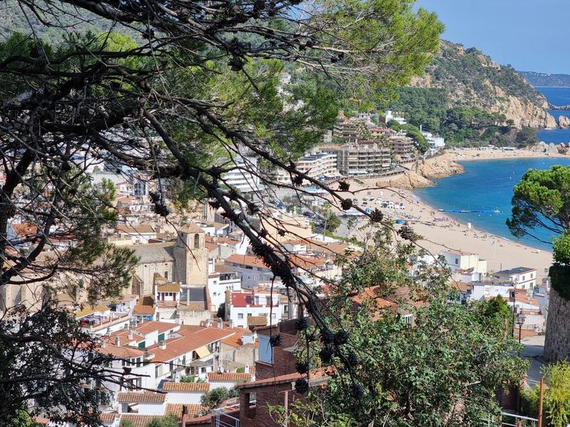 Foto 3d4a1f3e-9a82-4e97-a6a7-5aa8d02d1adf. Terreny residencial a Tossa de Mar Tossa de Mar