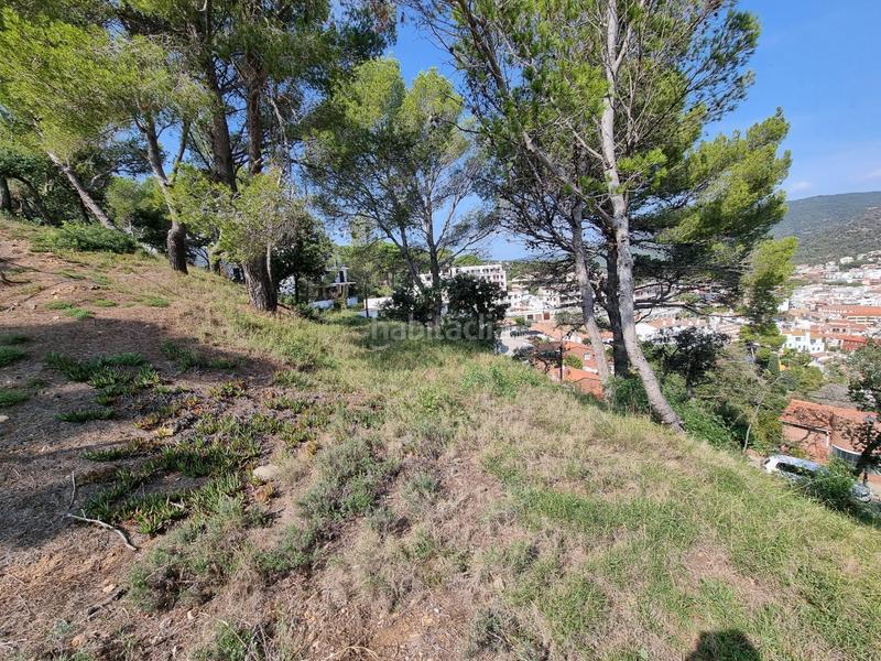 Foto 5f249fbb-2d32-4aec-b99c-baf01e6dead5. Terreny residencial a Tossa de Mar Tossa de Mar