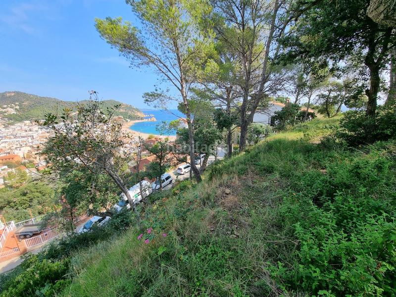 Foto d346a5c1-f518-4181-b834-cc46c43f727f. Terreny residencial a Tossa de Mar Tossa de Mar
