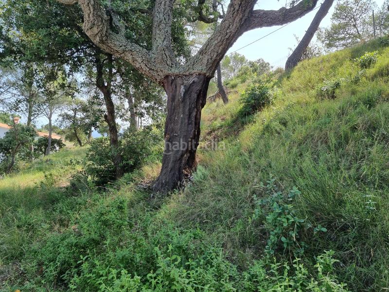 Foto e370f7a8-0e88-4569-860d-8abf37a1e5fc. Terreny residencial a Tossa de Mar Tossa de Mar