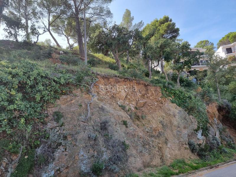 Foto eb3362ba-6815-4f6f-891b-da72a08d2f77. Terreny residencial a Tossa de Mar Tossa de Mar