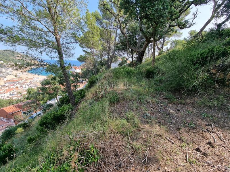 Foto fd5136e8-79e8-4647-8d80-b8ca5832ea03. Terreny residencial a Tossa de Mar Tossa de Mar