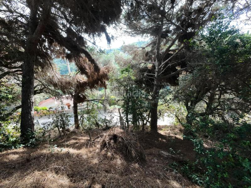 Foto 9af2cb1a-693b-43b3-81b1-ec9ff039ceba. Terrain résidentiel dans Serra Brava Lloret de Mar