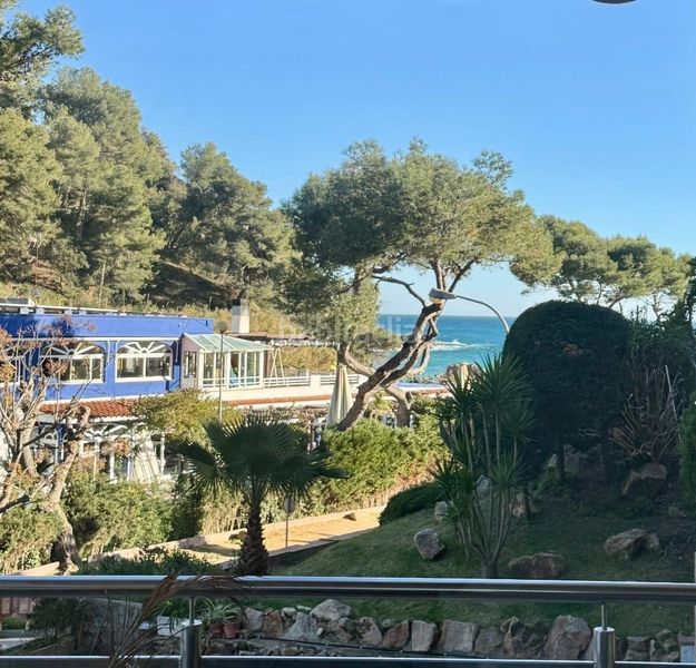 Foto 9c3de4c6-da1d-403d-84e1-616279165aab. Pis amb aparcament a Canyelles Lloret de Mar