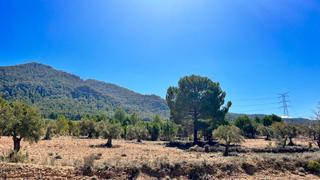 Finca rstica en Biar