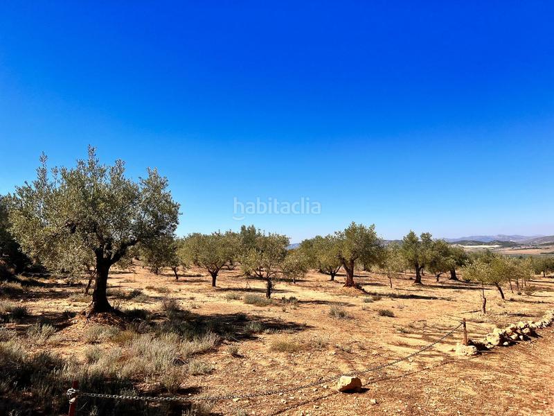 Foto 04bf8f48-67ba-49d0-a5a4-8410c88cee1a. Finca rústica a Biar