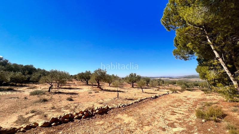 Foto 12673d28-11f1-4fe4-8ef2-16b6a46a4eb0. Finca rústica a Biar