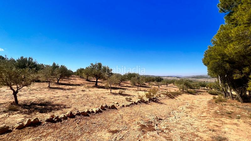 Foto 1a517d4c-fe9b-455b-8bdf-2908b2323a90. Finca rústica a Biar