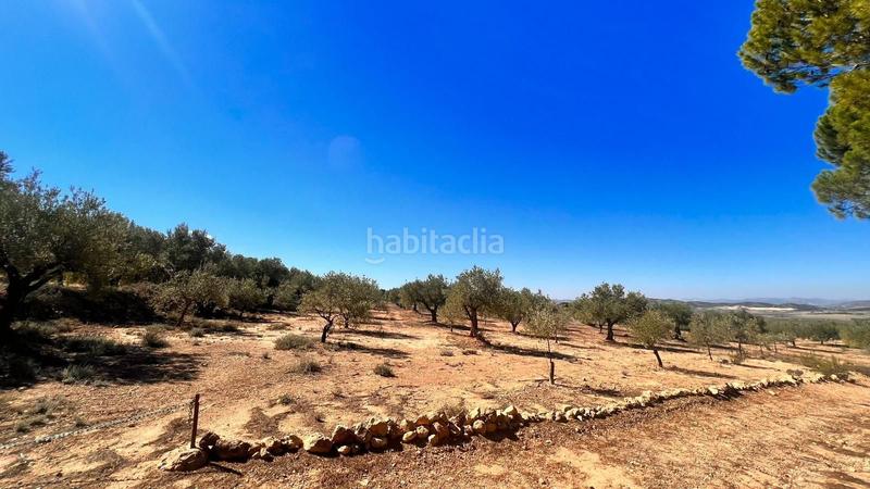 Foto 474df12b-4ad5-45f6-beb3-f8d7969fe1b0. Finca rústica a Biar