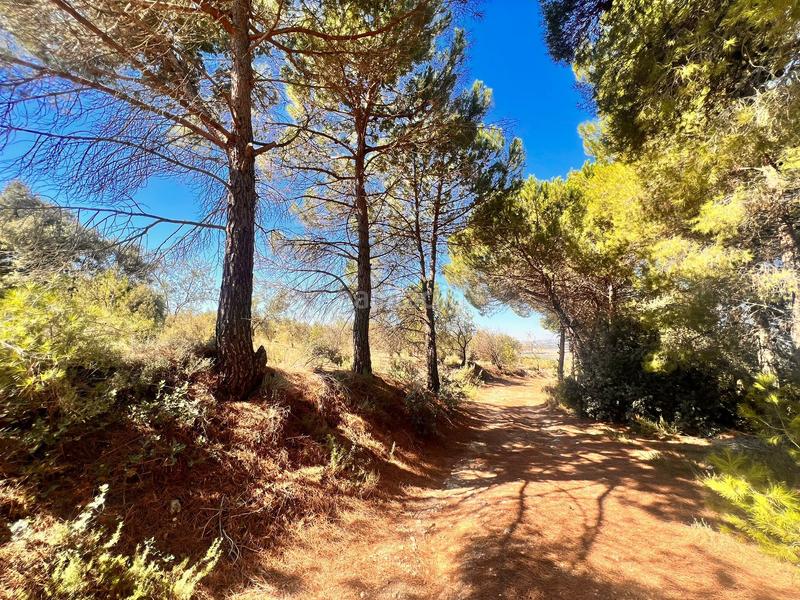 Foto 49926218-c350-425a-a7c5-d8c16248f262. Finca rústica a Biar