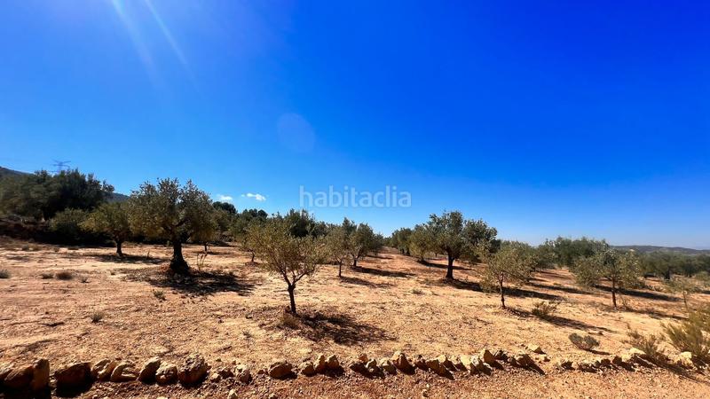 Foto 5946ccd7-1c89-49d2-bd03-c6f1d730c148. Finca rústica a Biar