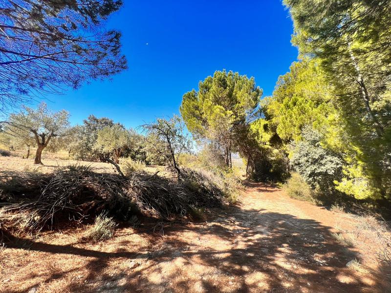 Foto 6ef72eb0-35e5-4dd5-b236-1499e8542d9d. Finca rústica a Biar