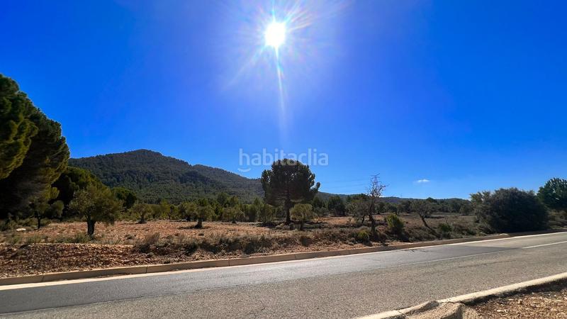 Foto c3eae44d-76b3-4c38-bb4c-870357ede32a. Finca rústica a Biar