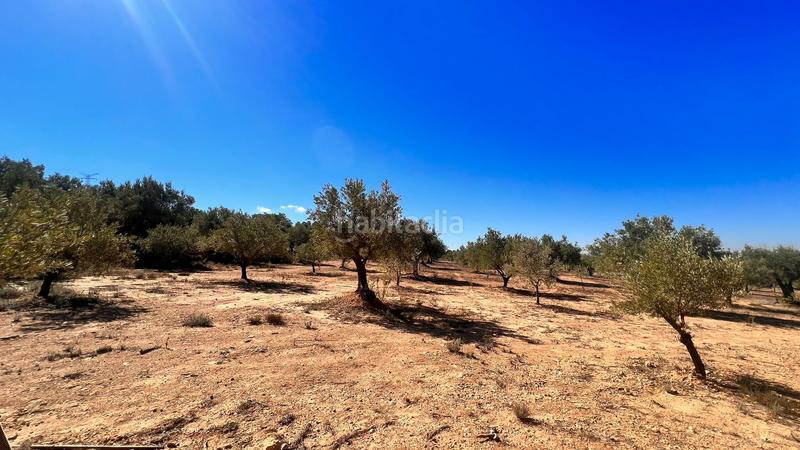 Foto da29daa7-21b1-440d-bee4-a8661ee2748f. Finca rústica a Biar