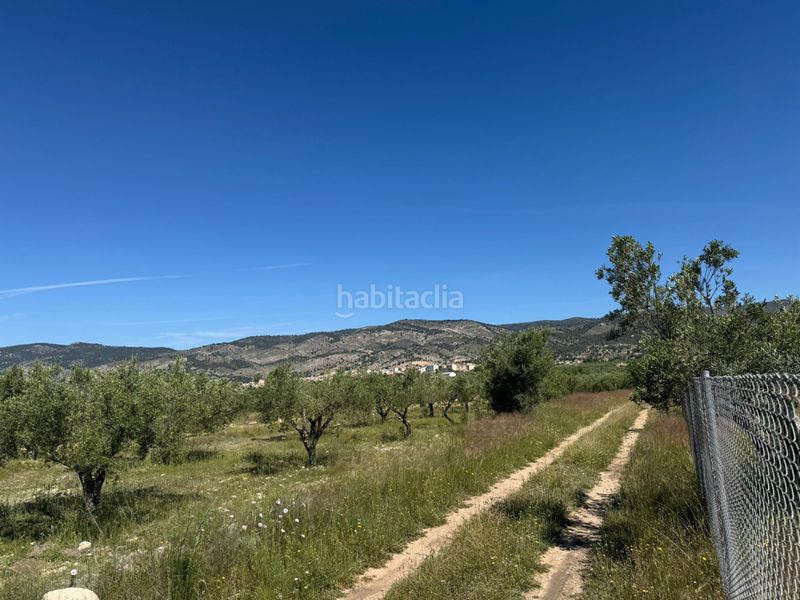 Foto 4d3d1c65-ae29-4ba2-ba15-9f707566a3df. Finca rústica a Onil