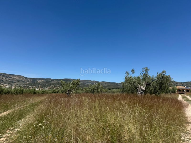 Foto 8585d731-aa4b-468c-a21b-9c6443e1b861. Finca rústica a Onil
