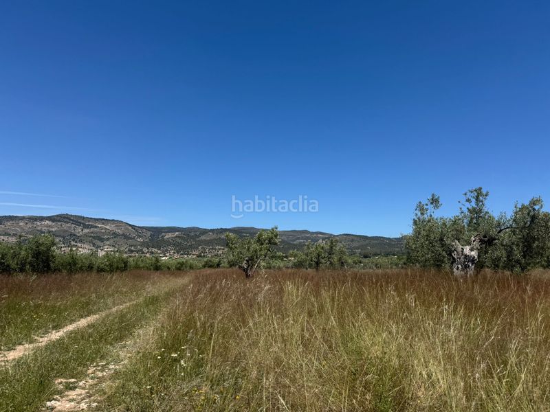 Foto 926bfebb-e505-47c6-8c3b-efd807251e11. Finca rústica a Onil