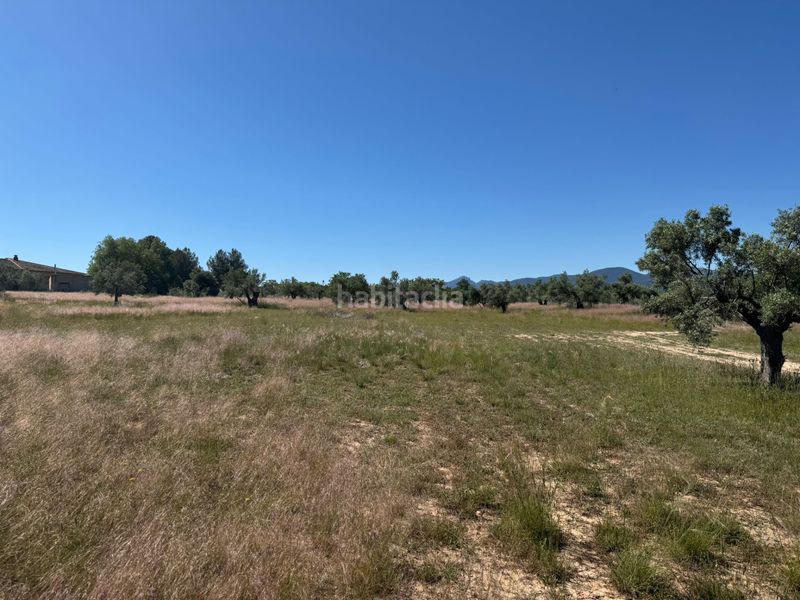 Foto aa0f97ad-6539-44cc-8f80-25c16071e82e. Finca rústica a Onil