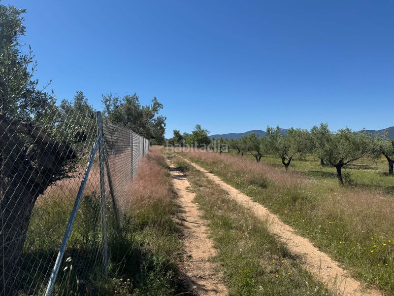 Foto e3d09dd3-6cf4-46f9-905d-8c52c562cbcf. Finca rústica a Onil
