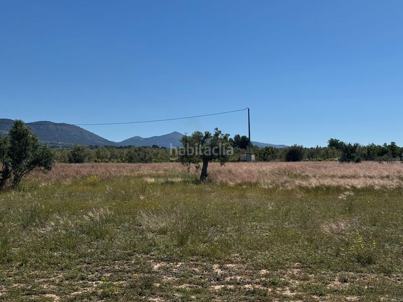Foto e4e39e33-44b1-4ada-89e4-c1d1477edd30. Finca rústica a Onil