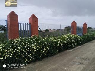 Residential Plot in Carretera de Sanlúcar - Sudamérica. Ocasión!! parcela 1200m