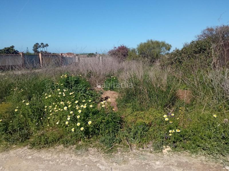 Foto 5317b59e-4453-4382-bf5b-46d00108f79f. Terreno residenziale in Casco Histórico - Ribera del Marisco Puerto de Santa María (El)