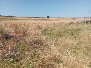 Residential Plot in Carretera de Sanlúcar - Sudamérica. Parcela en zona la estacadilla