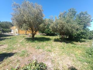 Terreny residencial a Carretera de Sanlúcar - Sudamérica