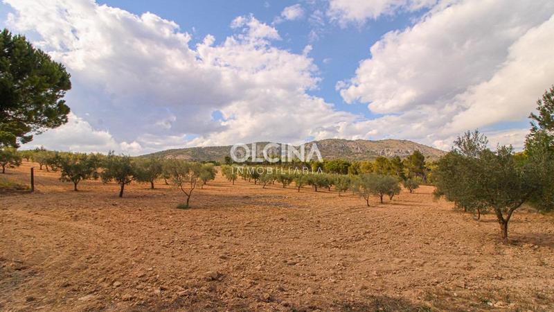 Foto 2fb51864-ddd9-4b3f-a1bf-a1dd82554f44. Mas dans Ibi