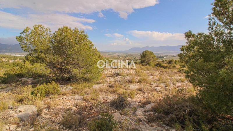 Foto 474b7176-c8b2-4a97-87f1-0fc37162bcdc. Mas dans Ibi