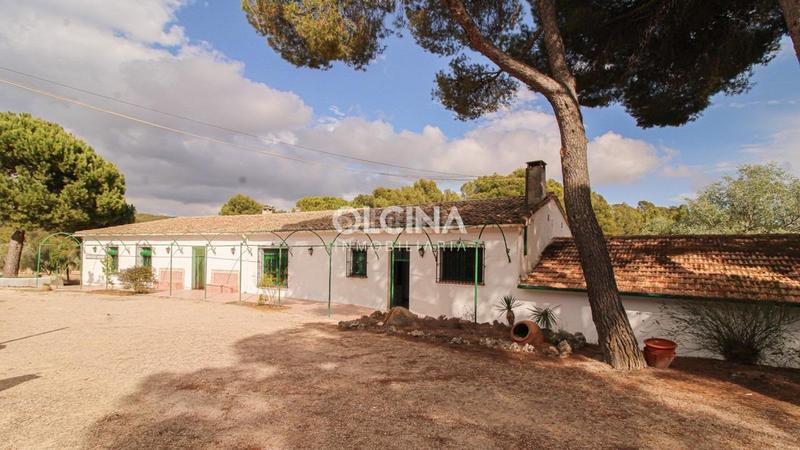 Foto 8d7aee28-e336-4cee-aeb5-1095238f5c4b. Mas dans Ibi