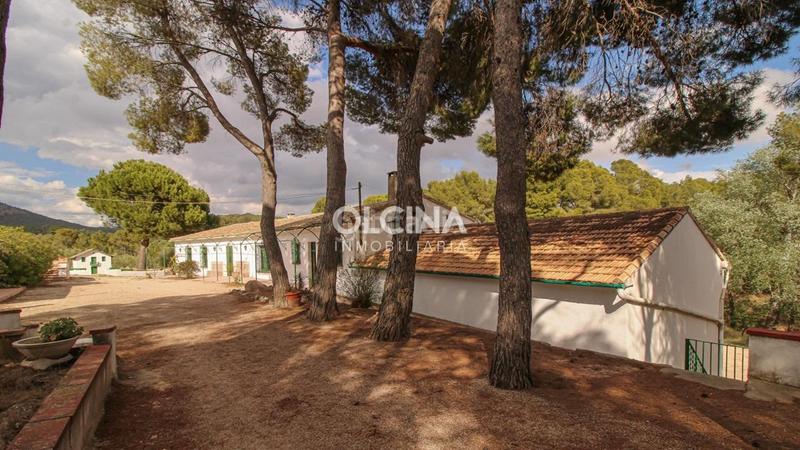 Foto 8e5c2336-c3fc-44f2-8d99-31c79542d9fa. Mas dans Ibi