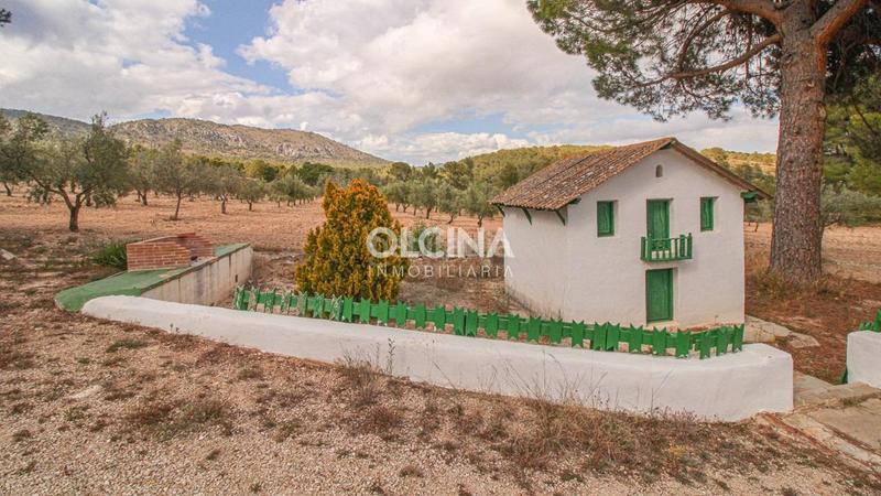 Foto a770fbaf-abab-4eb6-88a9-26fabeed2062. Mas dans Ibi