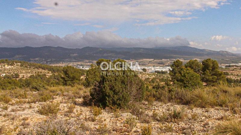 Foto aacbf71d-6956-434c-961c-18fce0e4a4c5. Mas dans Ibi