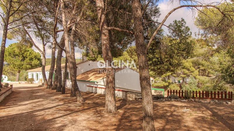 Foto fd31ac57-2568-423f-94d5-a539e335a6ed. Mas dans Ibi