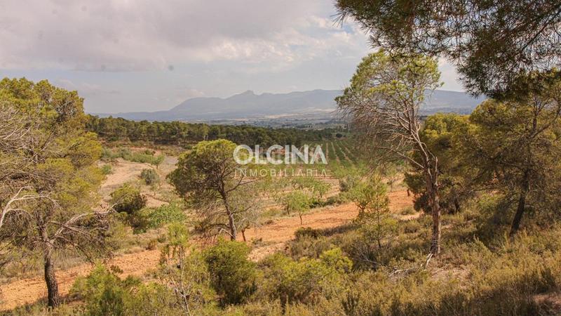 Foto fdcb8df5-39fc-4595-acd6-b0925be52111. Mas dans Ibi